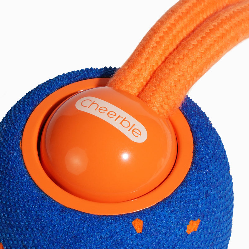 Wicked Ball Rolly